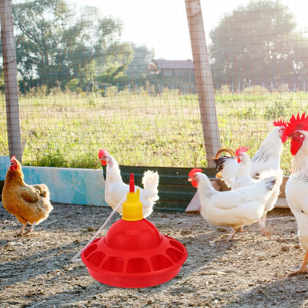 Poultry Water Automatic Chicken Farming Tool Red Holder Durable Plastic Poultry Feeder Easy Clean Pet Supplies Chick Feeder