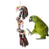 Parrot Toy Bird Chewing Toys Hanging Parrort Toy Playing Toy with Hanger