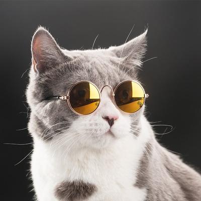 Kitty güneş gözlüğü Pet Kedi Gözlük Köpek Gözlük Evcil Hayvan Ürünleri Kitty Oyuncak Köpek Güneş Gözlüğü Fotoğrafları 3 cm Evcil Hayvan Aksesuarı Yuvarlak Renkli