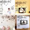 Beautiful Butterfly Vine Flower Vinyl Wall Decals Featuring Stylish Plant Theme For Home Enhancement