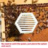 2-Layer Hexagonal Pin-Type Bee Queen Cages Multifunctional Bee Prison Control Buckles Plastic Bee Protective Cover Clips 1/5Pcs