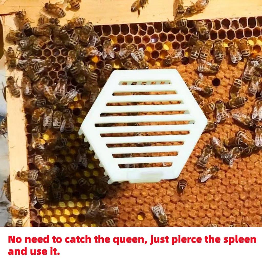2-Layer Hexagonal Pin-Type Bee Queen Cages Multifunctional Bee Prison Control Buckles Plastic Bee Protective Cover Clips 1/5Pcs