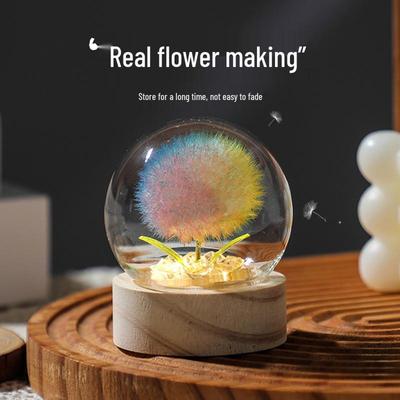 Luminous Dandelion Preserved Flower Bouquet Night Light In Glass Dome - Birthday Gift for Girls or Girlfriend