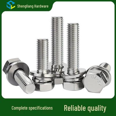 304 Stainless Steel Hex Head Combination Screw with Flat and Spring Washers