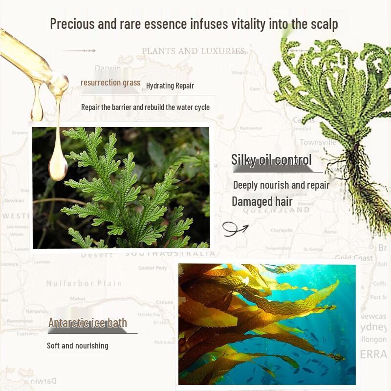 Plant Language Resurrection Grass Oil Control Fluffy Shampoo