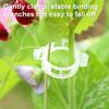 100/200/300/400/500 Adet Bahçe Bitki Destek Klipsi Üzüm Domates Bağları Sebze Asma Sapı Sabitleme Klipsi Salatalık Çiçeği Kabak Asması Dik Tırmanma