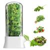 Refrigerator Detachable Compartment Herb Saver Box Vegetable Storage Container Mint and Cilantro Preservation Box