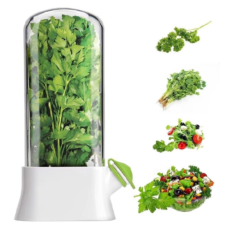 Refrigerator Detachable Compartment Herb Saver Box Vegetable Storage Container Mint and Cilantro Preservation Box