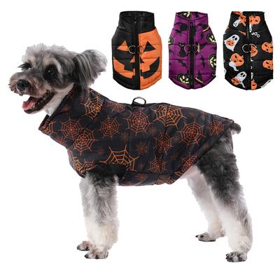 Ropa y calzado – Abrigos y chaquetas para perro