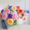 Braided Rose Handmade Crochet Flower Beautiful Long-lasting Yarn Crochet Rose Flower for Home Decoration Jikaix