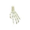 3D Printed Skeleton Hand Pendant Halloween Series Creative Hand Model Gift Crafts