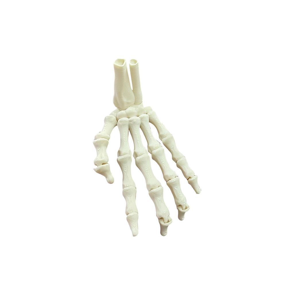 3D Printed Skeleton Hand Pendant Halloween Series Creative Hand Model Gift Crafts