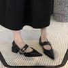 French Retro Mary Jane Thick-heeled Single Shoes Women's 2025 New Temperament Pointed One-word Buckle with Small Fragrant High Heels