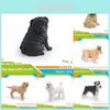 Realistic Dog Model Pvc Collectors Pet Figurine For Home Decor And Gift Ideas