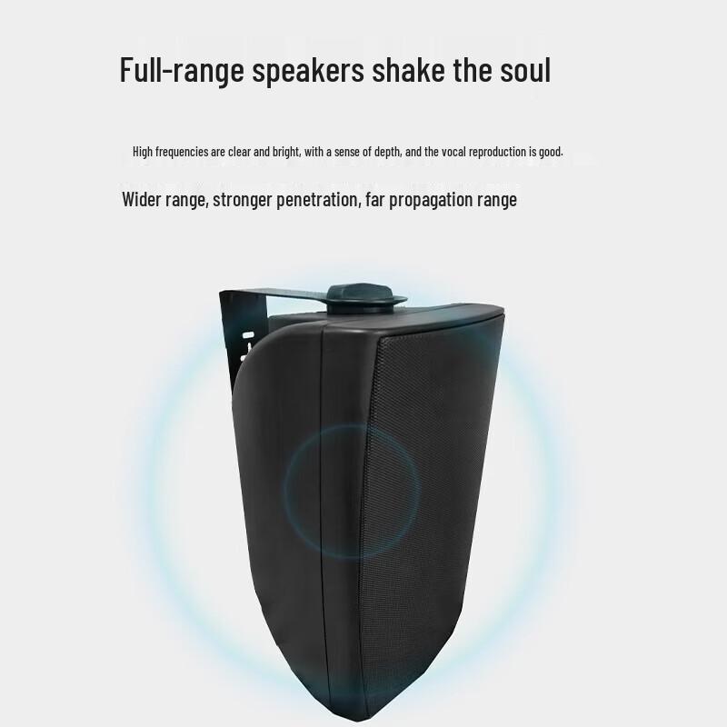 FionTu Professional Conference Audio System Full-Range Speaker (CN Version)