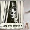 Funny Cat Shower Curtain, are You Poopin' Curious Kitty Whimsical Joke Humor Themed, Shower Curtain Set with 12 Hooks for