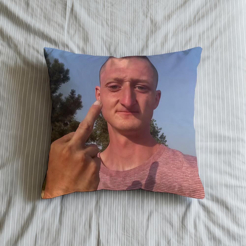 Cushion Cover Soft Case Sofa Living D-Daniel Selfie Room Home Comfortable Office Larson Decor Protective Pillow