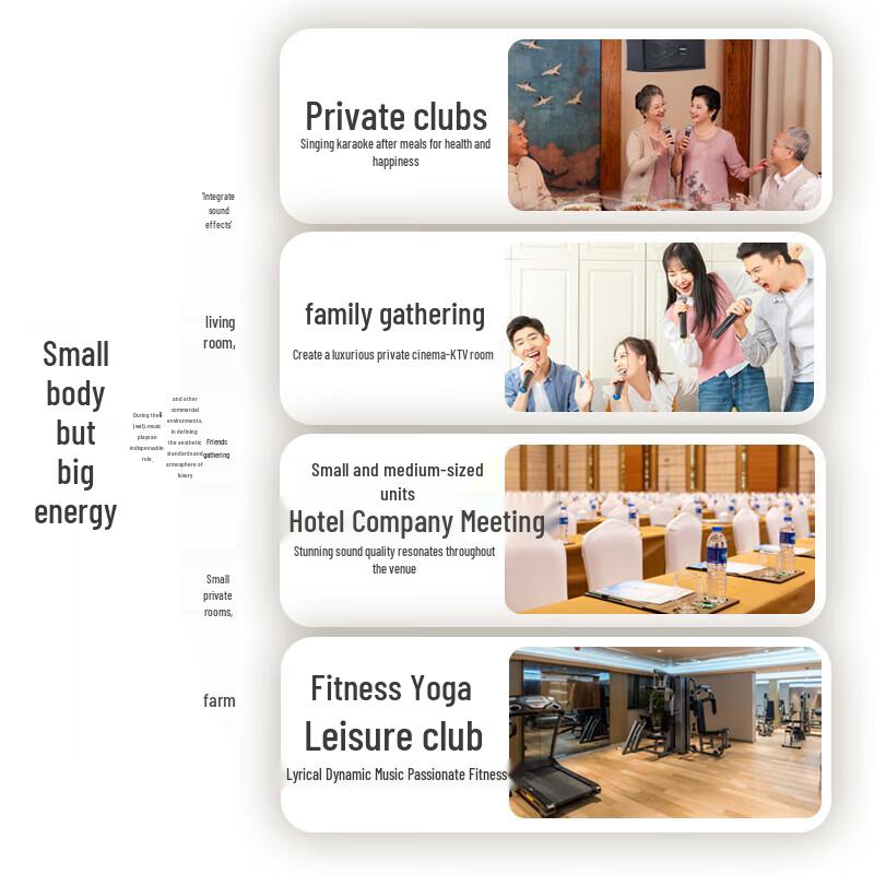 SANSUI PK06 Professional Home KTV Karaoke System CN plug (adapter included)