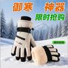 Ski Gloves for Women, Warm for Cold Play, Snow Waterproof and Velvet Thick Outdoor Cycling Gloves for Men