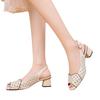 Rear Empty Versatile Thick Heel Fashion Hollow Fish Mouth Sandals Women's 2025 Summer New Mid-heel One-word Buckle Sandals