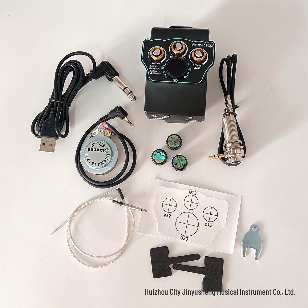 Guitare Acoustique Folk avec Micro Piezo, Plaque de Frappe, Réverbération, Délai et Fonction Phase