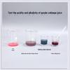 Xiangke 5th Grade Science Experiment Kit: Baking Soda & Vinegar Reaction