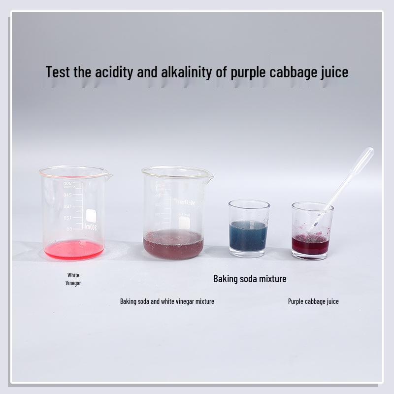 Xiangke 5th Grade Science Experiment Kit: Baking Soda & Vinegar Reaction