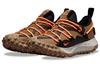Nike Acg Mountain Fly Low Gtx Se 'Hazel Rush' DD2861-200