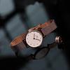 Daniel Wellington PETITE watch quartz movement 28mm white dial women's watch star crystal watch crystal scale disc watch DW00100528