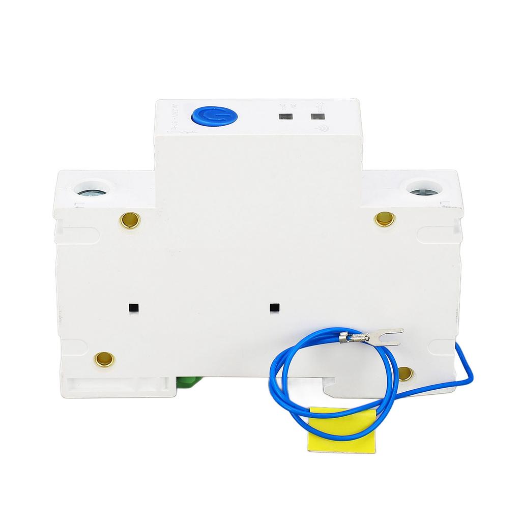 1P 230V Schutzschalter APP Fernbedienung DIN-Schiene Pa66 Intelligenter Schalter 2,4 GHz WLAN Schutzschalter