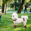 Pets Dustproof Strolling Pants Anti-Slip Dog Paw Protector Shoes W/Suspender Stain Resistant Waterproof Dog Jumpsuit Pet Custume