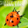Running Seven-star Ladybug Simulation Beetle Winding Chain Unzipping Children's Wind-up Toy