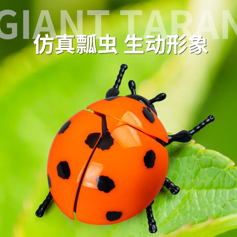 Running Seven-star Ladybug Simulation Beetle Winding Chain Unzipping Children's Wind-up Toy