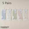 5 Pairs of Women's New Summer Thin Cotton Mesh Breathable Sweat Absorption Invisible Leisure Boat Socks