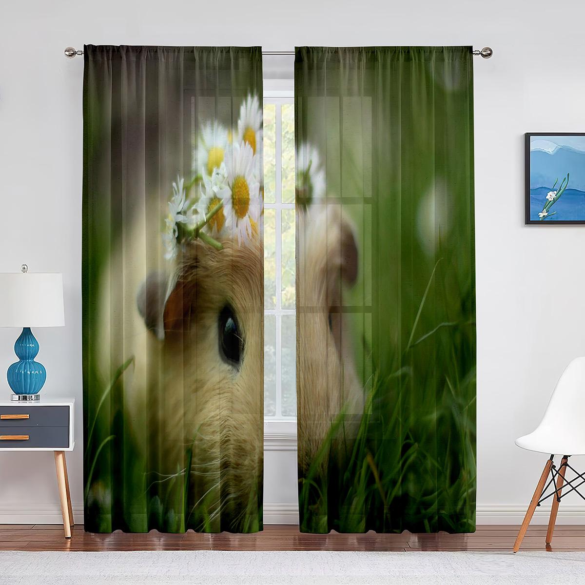 

Милая прозрачная вуаль-занавеска в виде морской свинки, милые шифоновые шторы из тюля для гостиной, кухни, спальни, декора, занавески 1 PCS W100XH250cm&Grommet Top