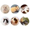 Small Pet Bedding Absorbing Natural Odor Control Pet Litter Small Animal Enclosures Substrate For Squirrels Mices Bunny Gerbils