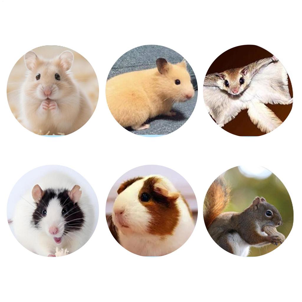 Small Pet Bedding Absorbing Natural Odor Control Pet Litter Small Animal Enclosures Substrate For Squirrels Mices Bunny Gerbils
