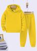 Kinder Herfst/Winter Effen Kleur Hoodie Sweatshirt & Joggingbroek Set - Casual Sport, Plus Fluweel Warm