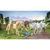PLAYMOBIL 71356 3 Morgan, Quarter Horse and Shagya Horses, Horses of Waterfall, 28 Pieces, From 5 Years