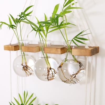 Creative Hydroponic Plant Wall Hanging Glass Vase Garden Wall Decor Flower Arrangement Home Decoration Party Gift Vase