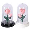 Romantic Eternal Tulip Lamp with Lampshade Pink Tulip Night Light Luminous Simple Bedroom Bedside Lamp Wedding Decor