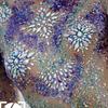Breast Jewels Tattoo Rhinestone Chest Sticker Temporary Tattoo Glitter Breast Body Gems Tattoo Sticker Body Decor Jewel Paste