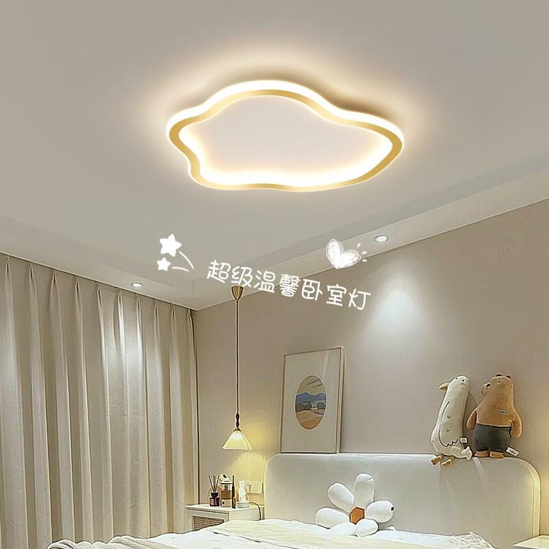 Nordic LED Ceiling Lamp with Remote Control Dimming