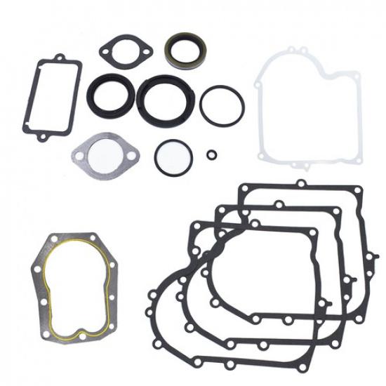 Lawn Mower Gasket Set Fit For Replace 494241 490525 480-149 12 & 12.5 HP Vertica