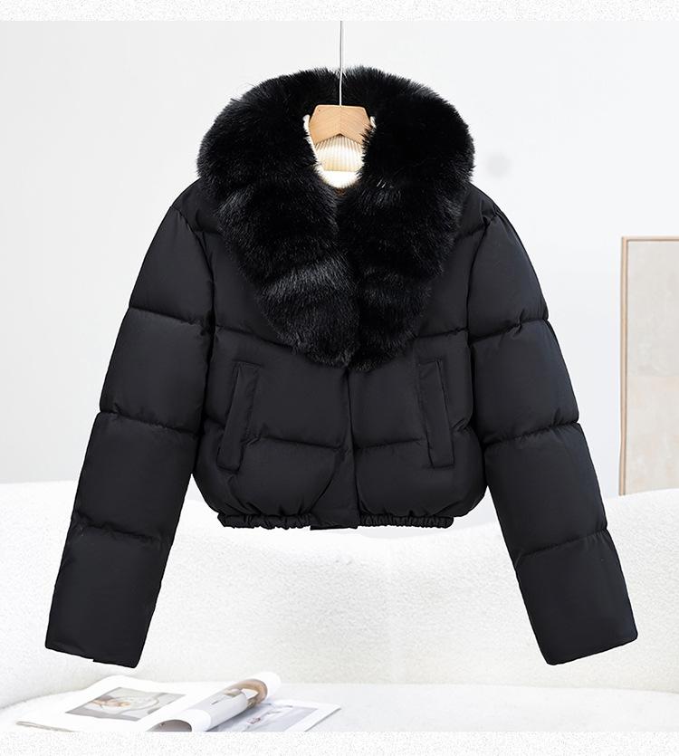 Winter new women's fashion big fur collar warm down cotton clothes short small cotton-padded coat