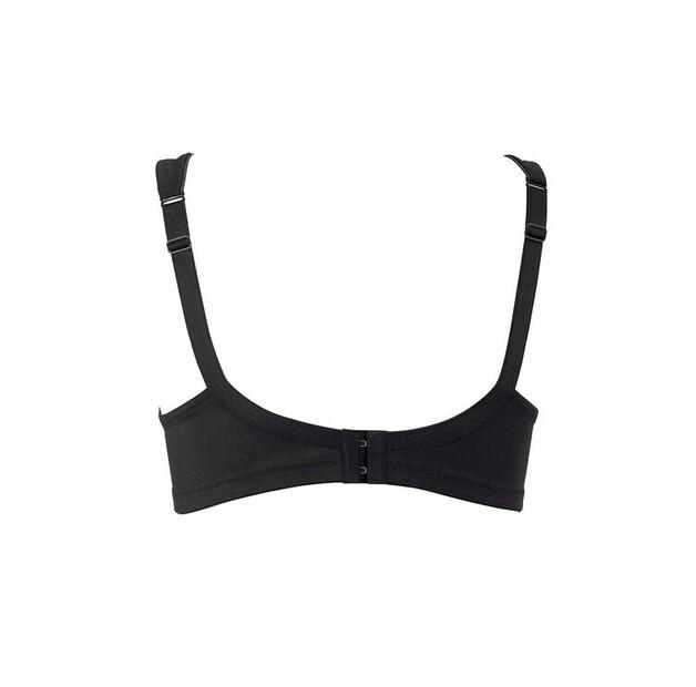 Rosa Faia 27340 Bra