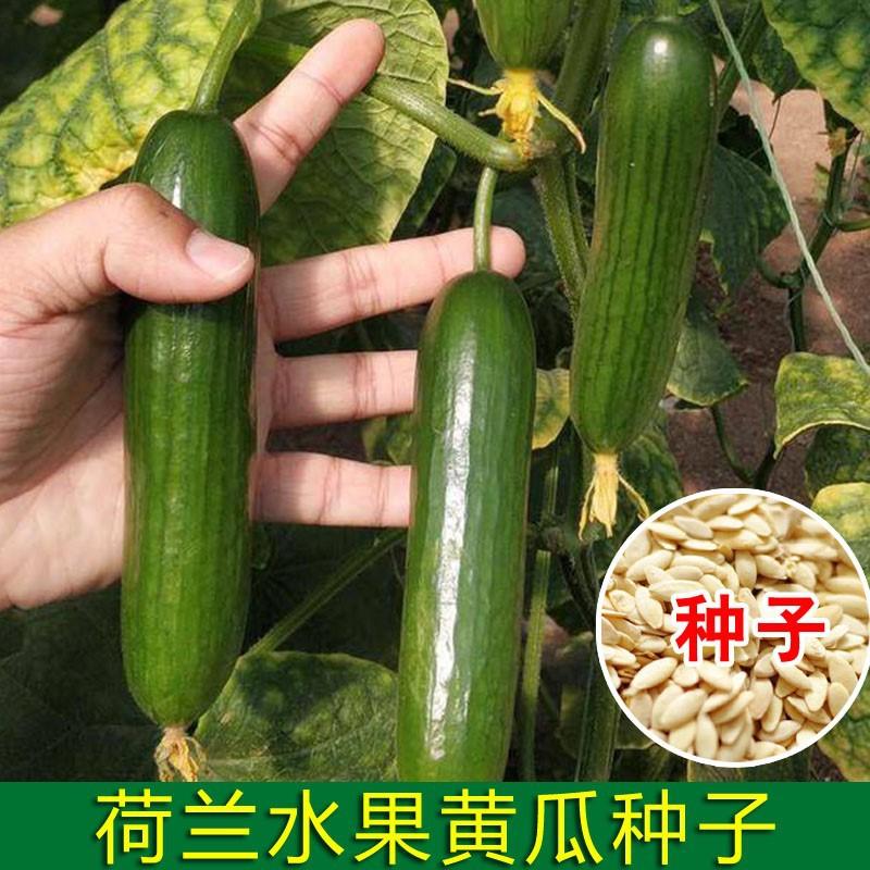 

Ретро цветочный арт с фрагментами золотой фольги и пленительный. One Size