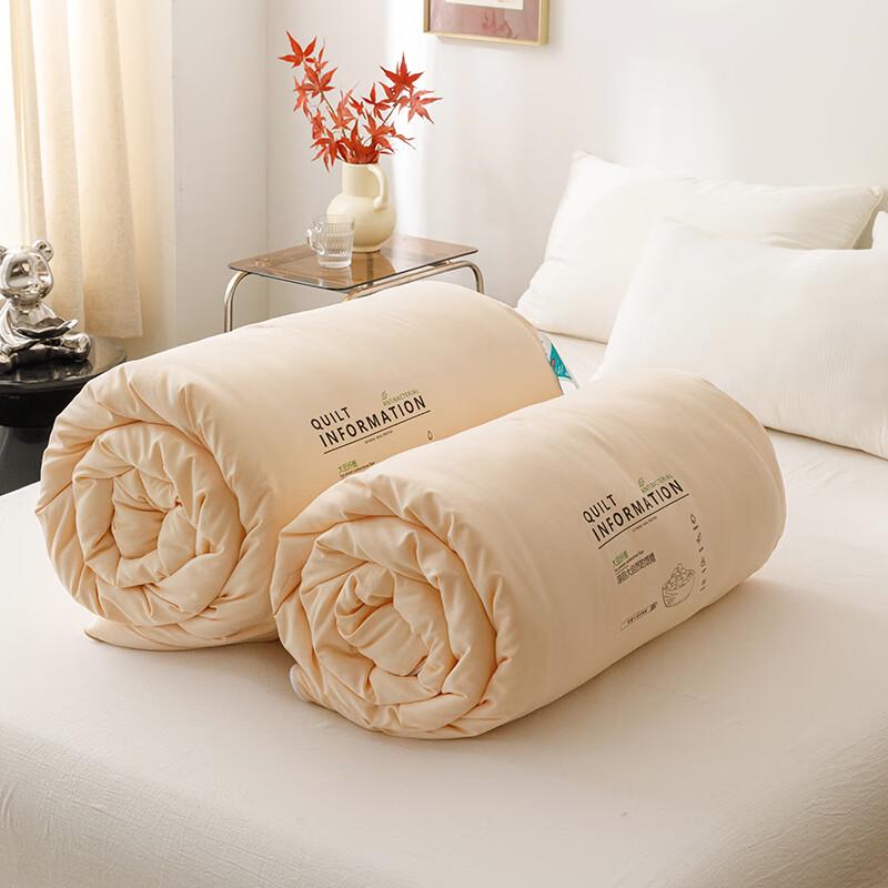 Muji All-Season Zippered Soy Fiber Mother-Child Duvet