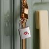 Aluminum Alloy TSA Customs Lock Padlock for Travel, Gym, or Cabinet