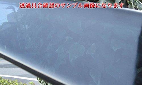 BRIGHTZ Premium Seitenwagentüren mit Befestigungsmaterial für Demio DE [INJ-V-046] (DE3AS, DE3FS, DE5FS, DEJFS) 12410